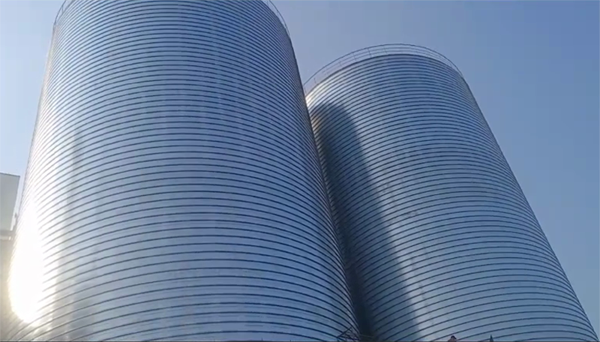 安岳2座混凝土高架卷板仓